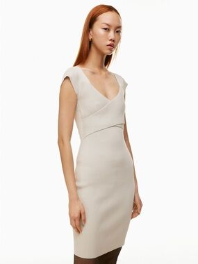 Aritzia Babaton Dress